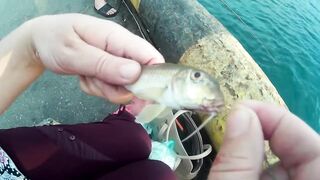 Морская рыбалка. Черное море - Туапсе. Ловля рыбы в Туапсе. Ловля с причала.