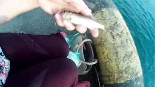 Морская рыбалка. Черное море - Туапсе. Ловля рыбы в Туапсе. Ловля с причала.