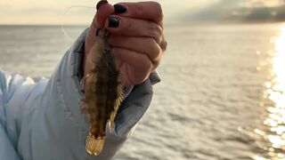 Рыбалка в Имеретинке. Norstream Experience EXS-802ML. Тест на море.