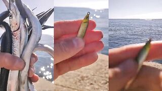 Новый Пилькер на Саргана в Деле. Морская Рыбалка в Ялте