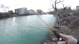 Трейлер Форель Черное море Джубга 2022