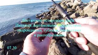 Рыбалка, Чёрное море, Джубга. С берега на бомбарду и булер.