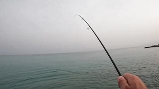 Гудаута, Абхазия береговая рыбалка и первые кадры