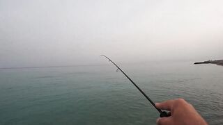 Гудаута, Абхазия береговая рыбалка и первые кадры