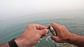 Гудаута, Абхазия береговая рыбалка и первые кадры