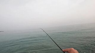 Гудаута, Абхазия береговая рыбалка и первые кадры