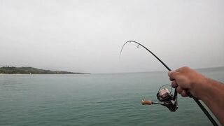 Гудаута, Абхазия береговая рыбалка и первые кадры