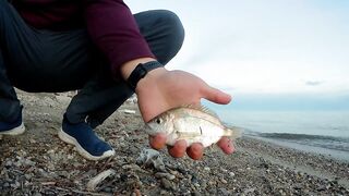 Лдзаа, Абхазия вечерний рокфишинг у ущелья как ловите