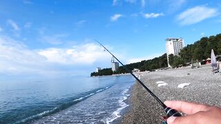 Пицунда, Абхазия. Спиннинг с берега летом 2025