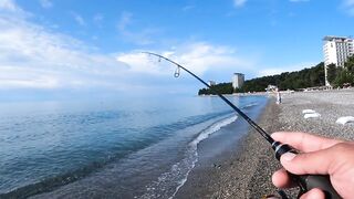Пицунда, Абхазия. Спиннинг с берега летом 2025