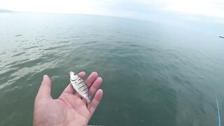 Сухум, Абхазия рыбалка с пирса по барабульке с нуля