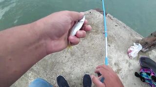 Сухум, Абхазия рыбалка с пирса по барабульке с нуля