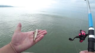 Сухум, Абхазия рыбалка с пирса по барабульке с нуля