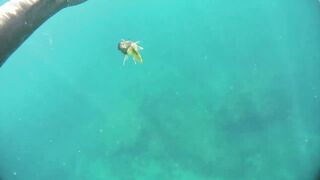 Бетта: подводная рыбалка и кадры с камеры