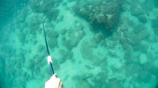 Бетта: подводная рыбалка и кадры с камеры