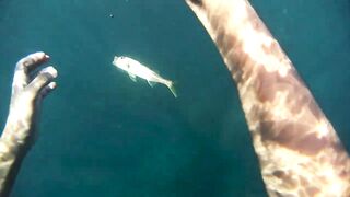 Бетта: подводная рыбалка и кадры с камеры