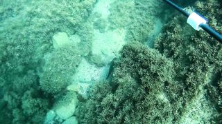 Бетта: подводная рыбалка и кадры с камеры