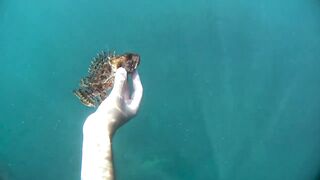 Бетта: подводная рыбалка и кадры с камеры