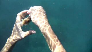 Бетта: подводная рыбалка и кадры с камеры