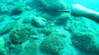 Бетта: подводная рыбалка и кадры с камеры