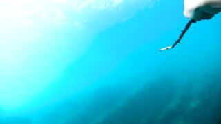 Бетта: подводная рыбалка и кадры с камеры