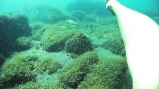 Бетта: подводная рыбалка и кадры с камеры