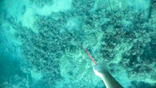 Бетта: подводная рыбалка и кадры с камеры