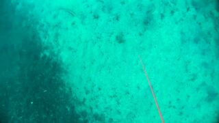 Бетта: подводная рыбалка и кадры с камеры