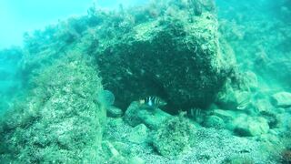 Бетта: подводная рыбалка и кадры с камеры