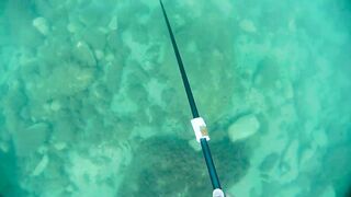 Бетта: подводная рыбалка и кадры с камеры