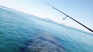 Кабардинка - рокфишинг и активная рыба летом 2024