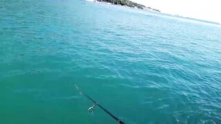 Кабардинка - рокфишинг и активная рыба летом 2024