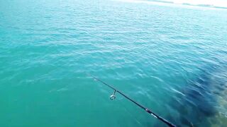 Кабардинка - рокфишинг и активная рыба летом 2024