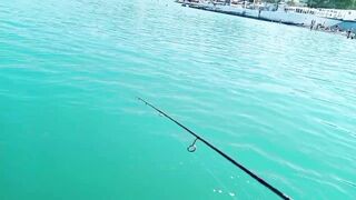 Кабардинка - рокфишинг и активная рыба летом 2024