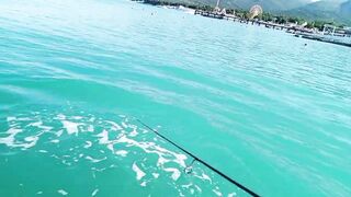 Кабардинка - рокфишинг и активная рыба летом 2024