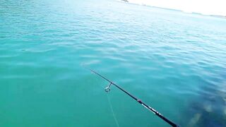 Кабардинка - рокфишинг и активная рыба летом 2024