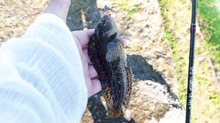 Кабардинка - рокфишинг и активная рыба летом 2024