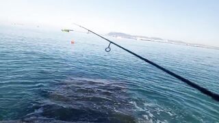 Кабардинка - рокфишинг и активная рыба летом 2024