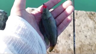 Кабардинка - рокфишинг и активная рыба летом 2024