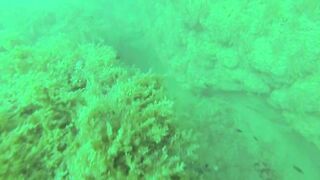 Геленджик, Толстый мыс - погружение на банку и рыбалка рядом