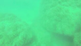 Геленджик, Толстый мыс - погружение на банку и рыбалка рядом