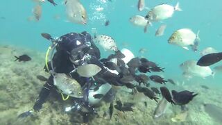 Геленджик, Толстый мыс - погружение на банку и рыбалка рядом