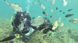 Геленджик, Толстый мыс - погружение на банку и рыбалка рядом