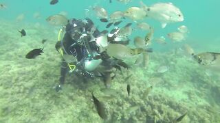 Геленджик, Толстый мыс - погружение на банку и рыбалка рядом