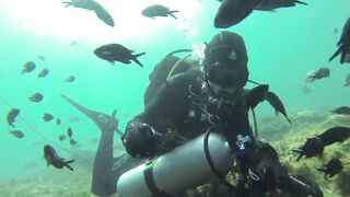 Геленджик, Толстый мыс - погружение на банку и рыбалка рядом