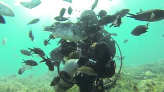 Геленджик, Толстый мыс - погружение на банку и рыбалка рядом