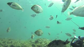 Геленджик, Толстый мыс - погружение на банку и рыбалка рядом