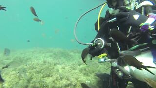 Геленджик, Толстый мыс - погружение на банку и рыбалка рядом