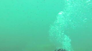 Геленджик, Толстый мыс - погружение на банку и рыбалка рядом