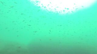 Геленджик, Толстый мыс - погружение на банку и рыбалка рядом